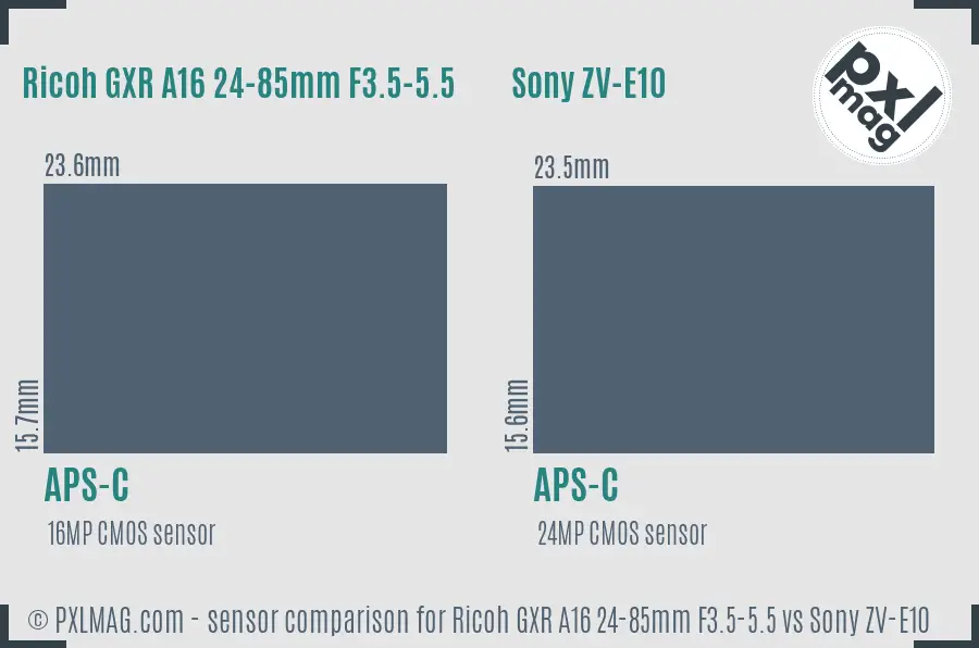 Ricoh GXR A16 24-85mm F3.5-5.5 vs Sony ZV-E10 sensor size comparison