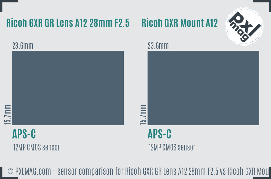 Ricoh GXR GR Lens A12 28mm F2.5 vs Ricoh GXR Mount A12 sensor size comparison