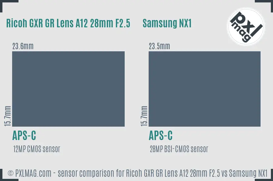 Ricoh GXR GR Lens A12 28mm F2.5 vs Samsung NX1 sensor size comparison