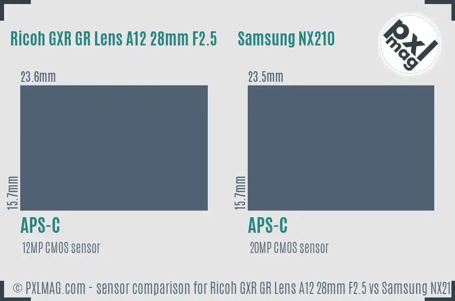 Ricoh GXR GR Lens A12 28mm F2.5 vs Samsung NX210 sensor size comparison