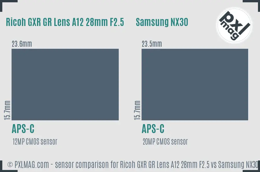 Ricoh GXR GR Lens A12 28mm F2.5 vs Samsung NX30 sensor size comparison