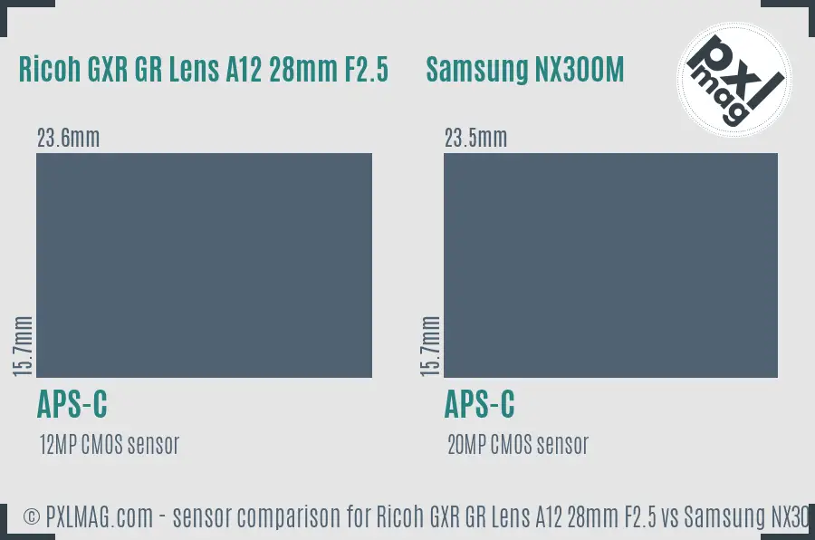 Ricoh GXR GR Lens A12 28mm F2.5 vs Samsung NX300M sensor size comparison