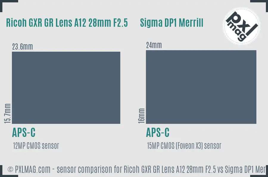 Ricoh GXR GR Lens A12 28mm F2.5 vs Sigma DP1 Merrill sensor size comparison
