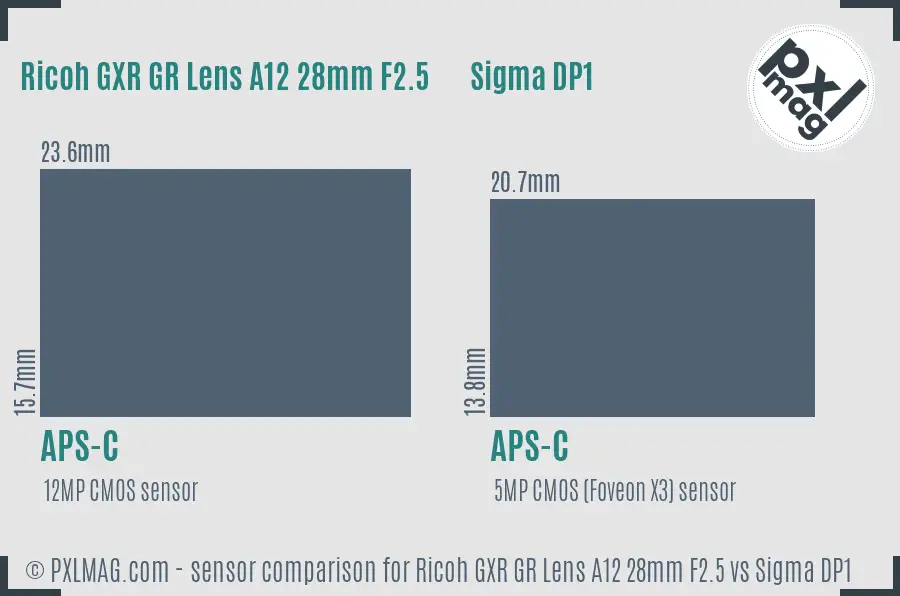 Ricoh GXR GR Lens A12 28mm F2.5 vs Sigma DP1 sensor size comparison
