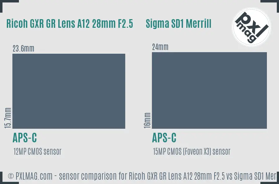 Ricoh GXR GR Lens A12 28mm F2.5 vs Sigma SD1 Merrill sensor size comparison