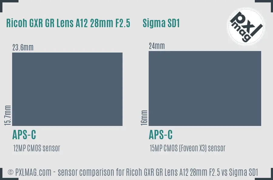 Ricoh GXR GR Lens A12 28mm F2.5 vs Sigma SD1 sensor size comparison