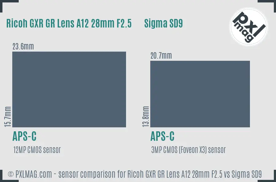 Ricoh GXR GR Lens A12 28mm F2.5 vs Sigma SD9 sensor size comparison
