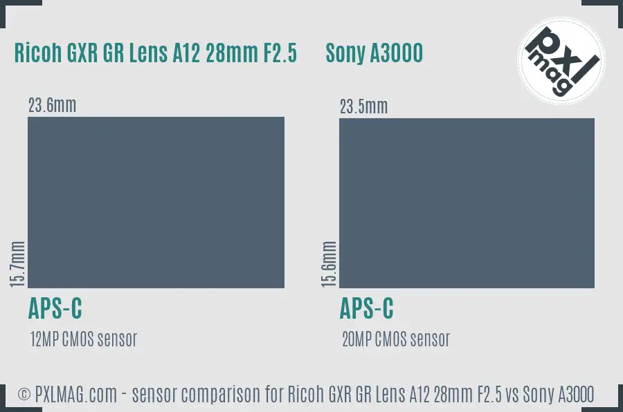 Ricoh GXR GR Lens A12 28mm F2.5 vs Sony A3000 sensor size comparison