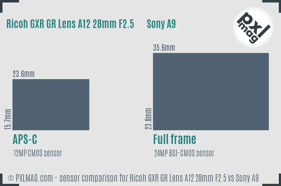 Ricoh GXR GR Lens A12 28mm F2.5 vs Sony A9 sensor size comparison