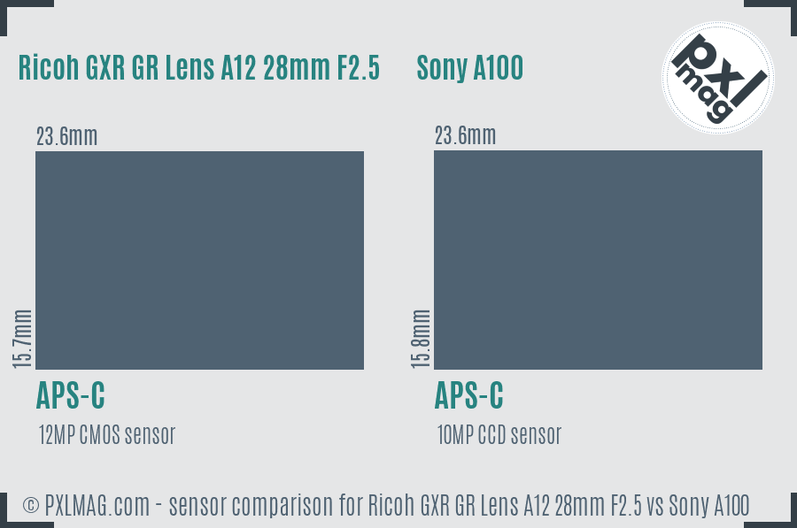Ricoh GXR GR Lens A12 28mm F2.5 vs Sony A100 sensor size comparison Ricoh GXR GR Lens A12 28mm F2.5 vs Sony A100 sensor size comparison