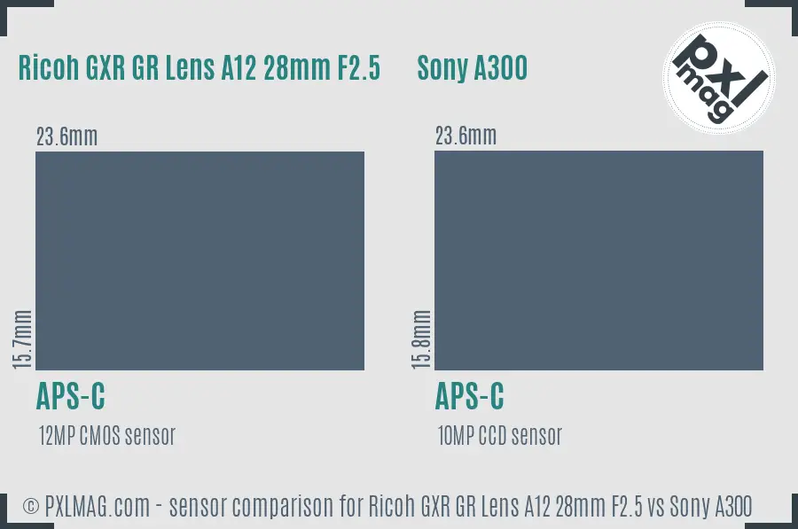 Ricoh GXR GR Lens A12 28mm F2.5 vs Sony A300 sensor size comparison