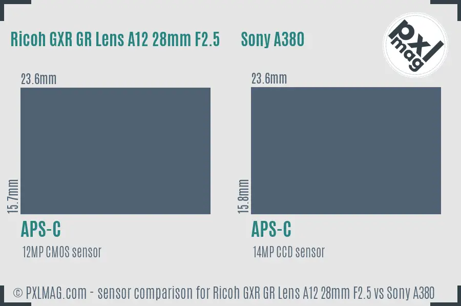 Ricoh GXR GR Lens A12 28mm F2.5 vs Sony A380 sensor size comparison Ricoh GXR GR Lens A12 28mm F2.5 vs Sony A380 sensor size comparison