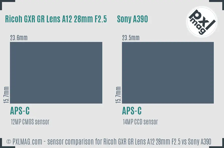 Ricoh GXR GR Lens A12 28mm F2.5 vs Sony A390 sensor size comparison