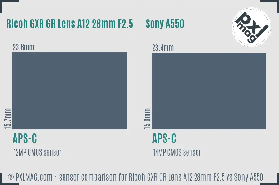 Ricoh GXR GR Lens A12 28mm F2.5 vs Sony A550 sensor size comparison