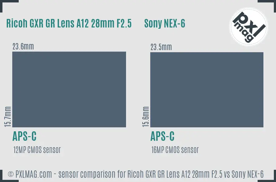 Ricoh GXR GR Lens A12 28mm F2.5 vs Sony NEX-6 sensor size comparison