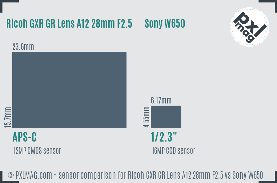 Ricoh GXR GR Lens A12 28mm F2.5 vs Sony W650 sensor size comparison