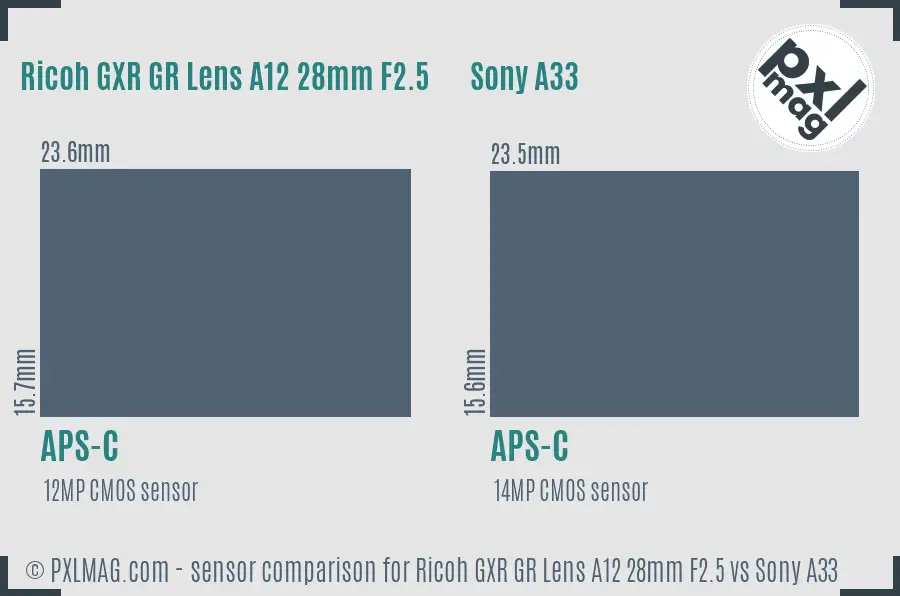 Ricoh GXR GR Lens A12 28mm F2.5 vs Sony A33 sensor size comparison