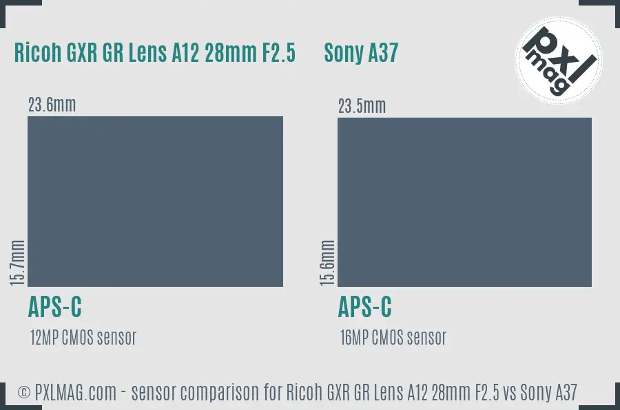 Ricoh GXR GR Lens A12 28mm F2.5 vs Sony A37 sensor size comparison