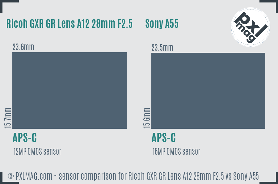 Ricoh GXR GR Lens A12 28mm F2.5 vs Sony A55 sensor size comparison