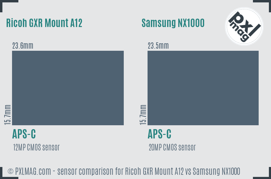 Ricoh GXR Mount A12 vs Samsung NX1000 sensor size comparison