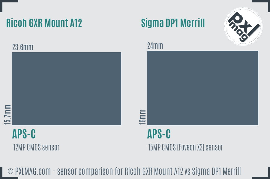 Ricoh GXR Mount A12 vs Sigma DP1 Merrill sensor size comparison