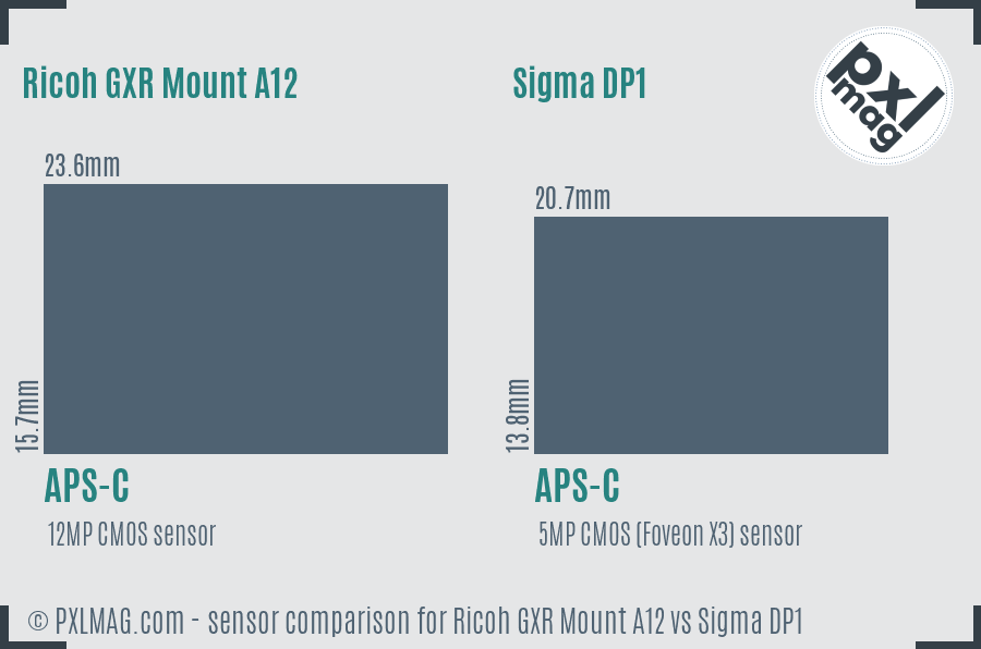 Ricoh GXR Mount A12 vs Sigma DP1 sensor size comparison