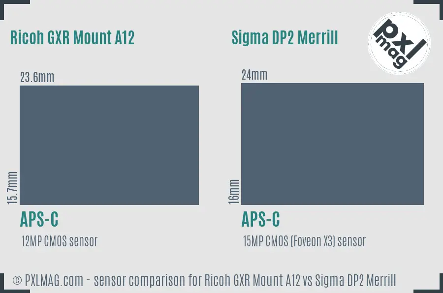 Ricoh GXR Mount A12 vs Sigma DP2 Merrill sensor size comparison