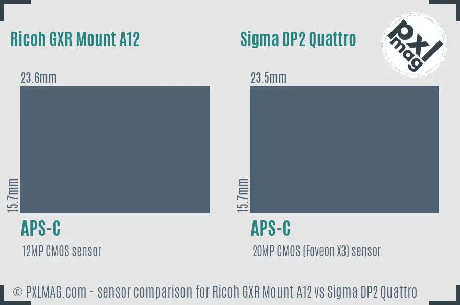 Ricoh GXR Mount A12 vs Sigma DP2 Quattro sensor size comparison