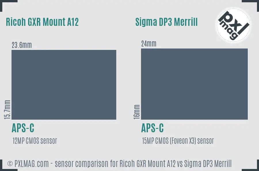 Ricoh GXR Mount A12 vs Sigma DP3 Merrill sensor size comparison