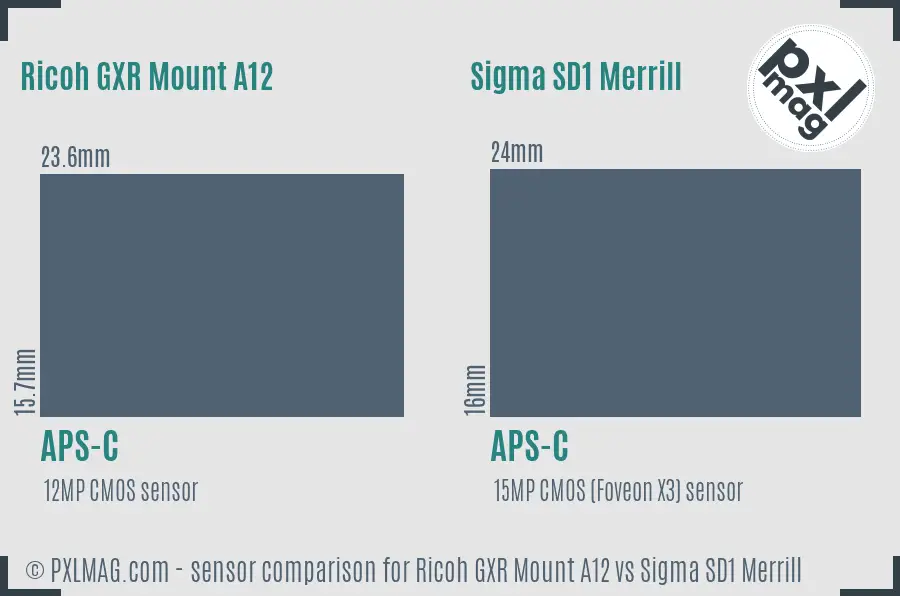 Ricoh GXR Mount A12 vs Sigma SD1 Merrill sensor size comparison