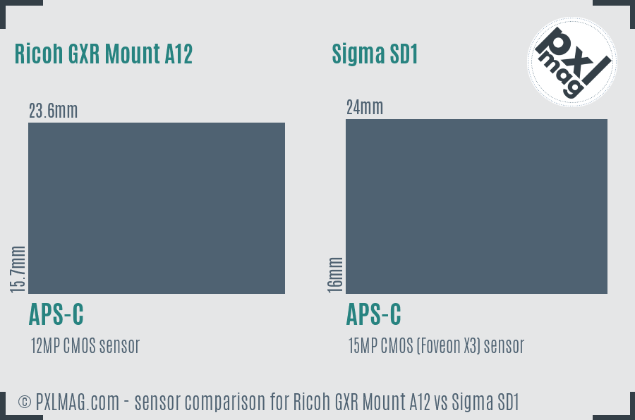 Ricoh GXR Mount A12 vs Sigma SD1 sensor size comparison