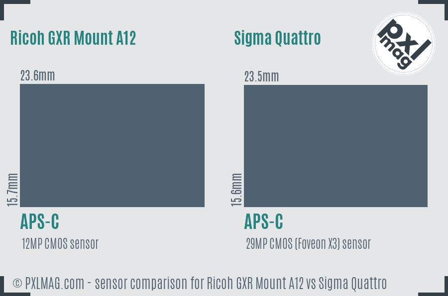 Ricoh GXR Mount A12 vs Sigma Quattro sensor size comparison