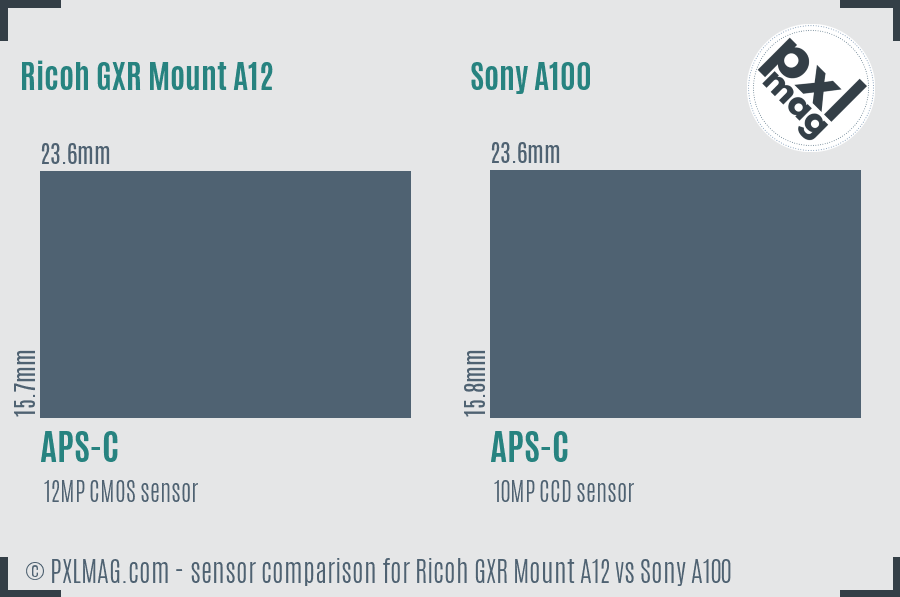 Ricoh GXR Mount A12 vs Sony A100 sensor size comparison