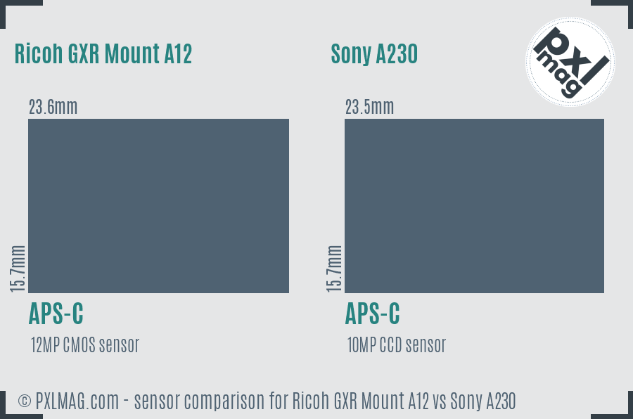 Ricoh GXR Mount A12 vs Sony A230 sensor size comparison