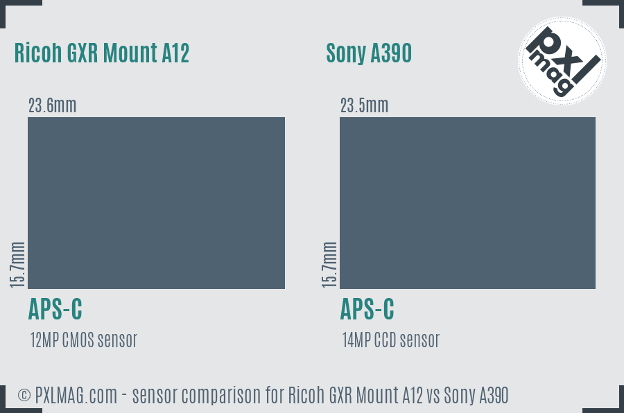 Ricoh GXR Mount A12 vs Sony A390 sensor size comparison