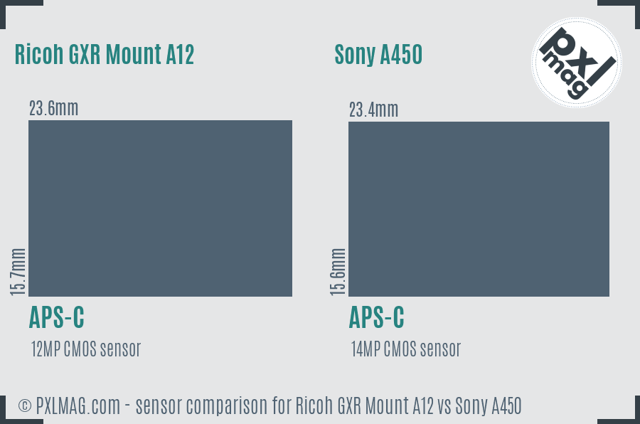 Ricoh GXR Mount A12 vs Sony A450 sensor size comparison