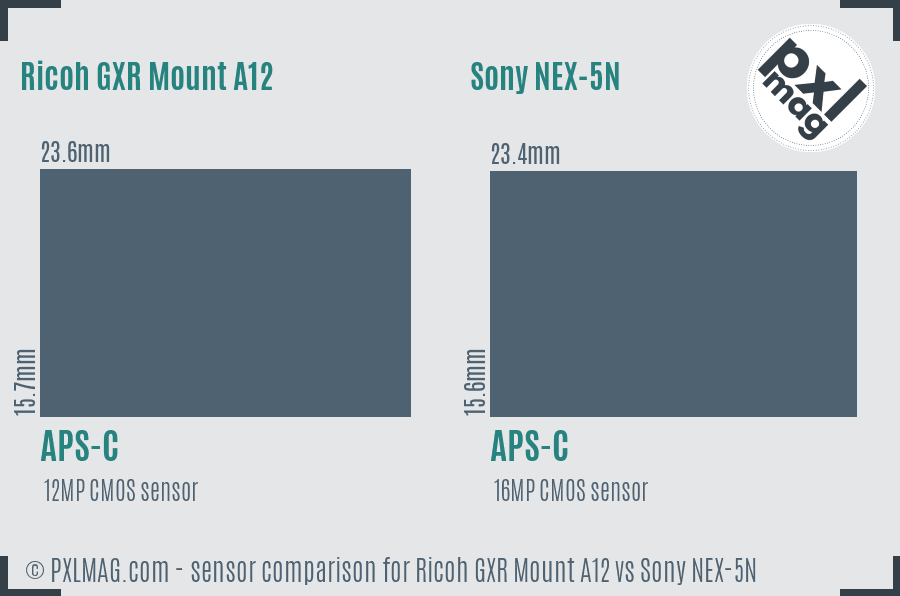 Ricoh GXR Mount A12 vs Sony NEX-5N sensor size comparison