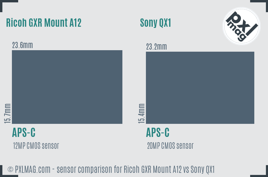 Ricoh GXR Mount A12 vs Sony QX1 sensor size comparison Ricoh GXR Mount A12 vs Sony QX1 sensor size comparison