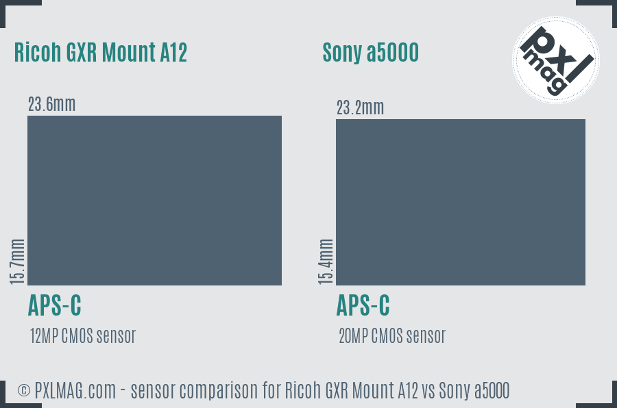Ricoh GXR Mount A12 vs Sony a5000 sensor size comparison