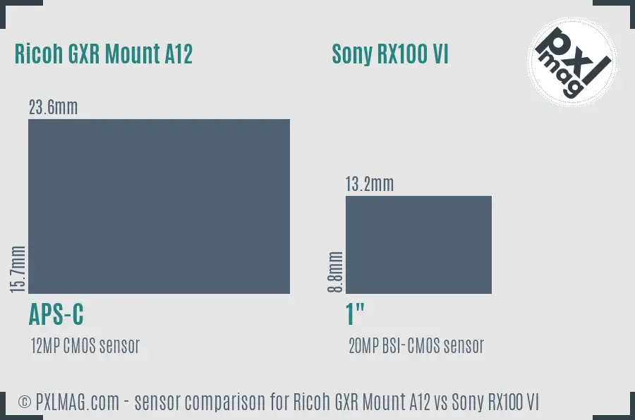Ricoh GXR Mount A12 vs Sony RX100 VI sensor size comparison
