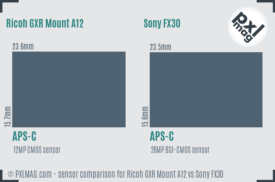 Ricoh GXR Mount A12 vs Sony FX30 sensor size comparison