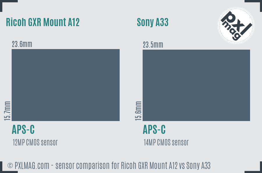 Ricoh GXR Mount A12 vs Sony A33 sensor size comparison
