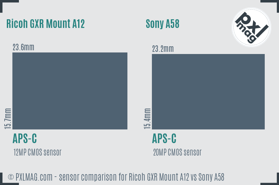 Ricoh GXR Mount A12 vs Sony A58 sensor size comparison