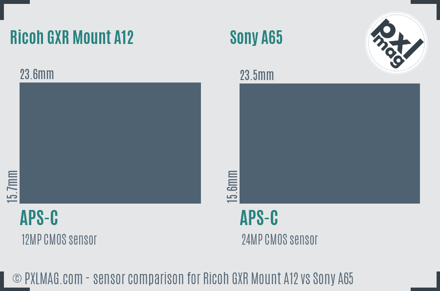 Ricoh GXR Mount A12 vs Sony A65 sensor size comparison