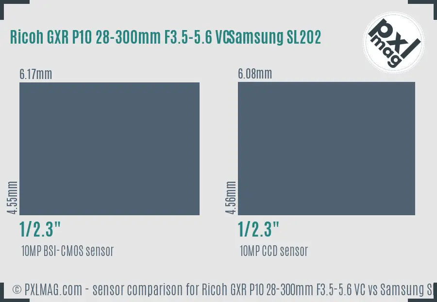 Ricoh GXR P10 28-300mm F3.5-5.6 VC vs Samsung SL202 sensor size comparison