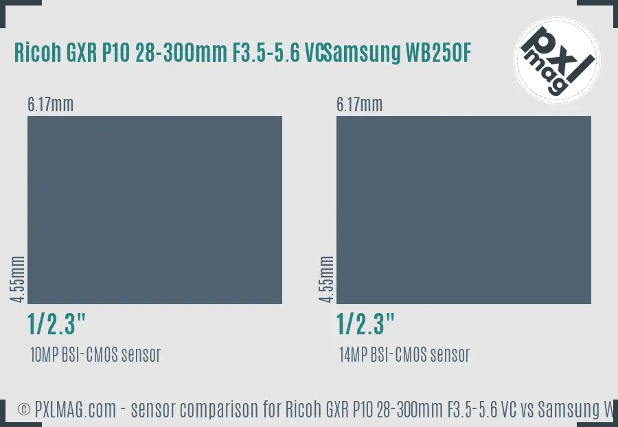 Ricoh GXR P10 28-300mm F3.5-5.6 VC vs Samsung WB250F sensor size comparison
