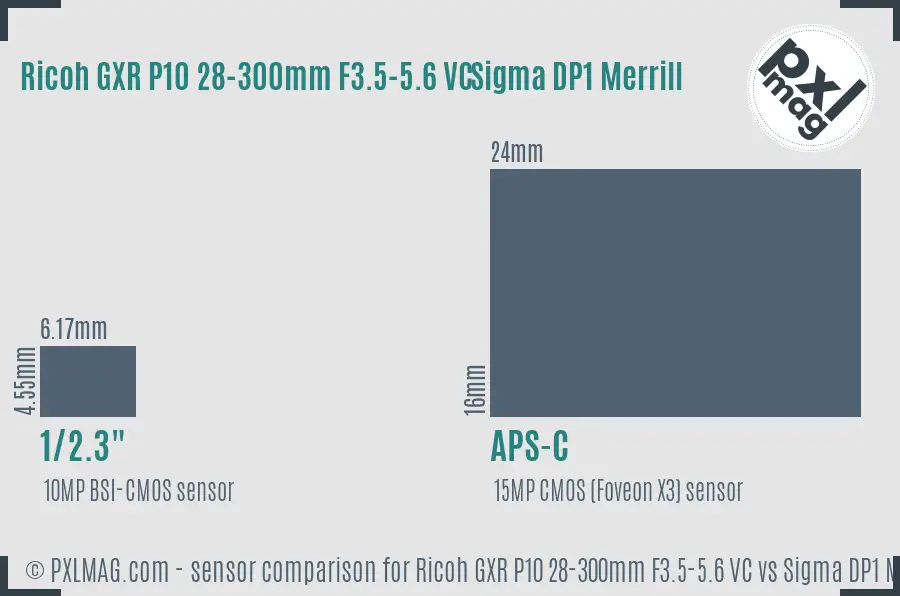 Ricoh GXR P10 28-300mm F3.5-5.6 VC vs Sigma DP1 Merrill sensor size comparison