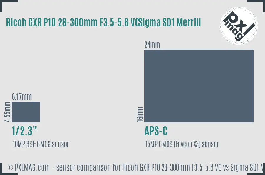 Ricoh GXR P10 28-300mm F3.5-5.6 VC vs Sigma SD1 Merrill sensor size comparison