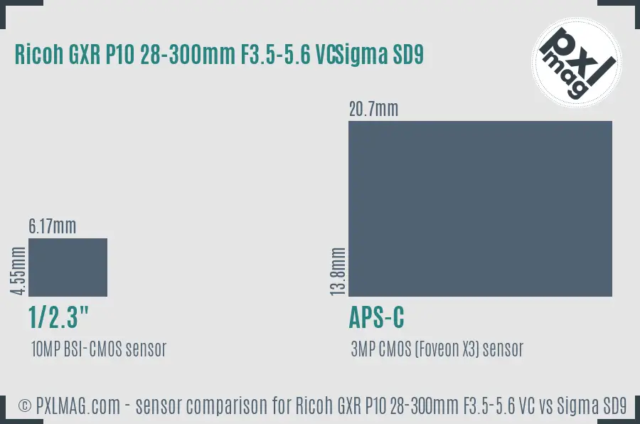Ricoh GXR P10 28-300mm F3.5-5.6 VC vs Sigma SD9 sensor size comparison