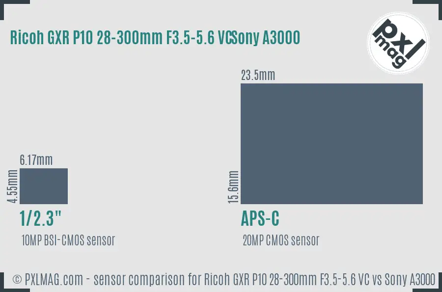 Ricoh GXR P10 28-300mm F3.5-5.6 VC vs Sony A3000 sensor size comparison